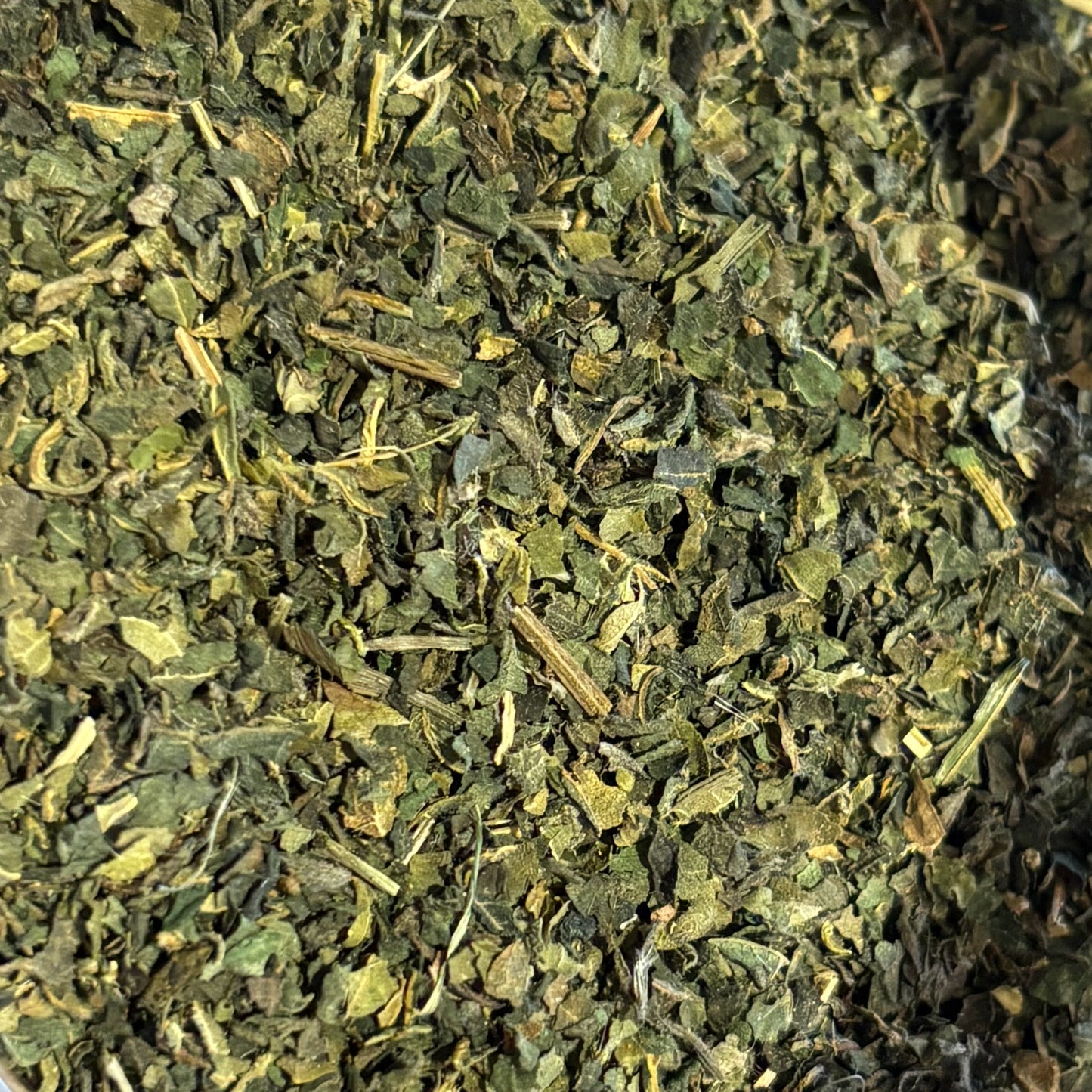 Nettles (Urtica dioica) - Organic Dried Herb
