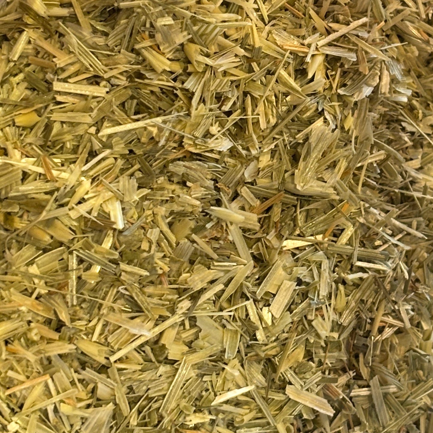 Oatstraw (Avena sativa) - Organic Dried Herb