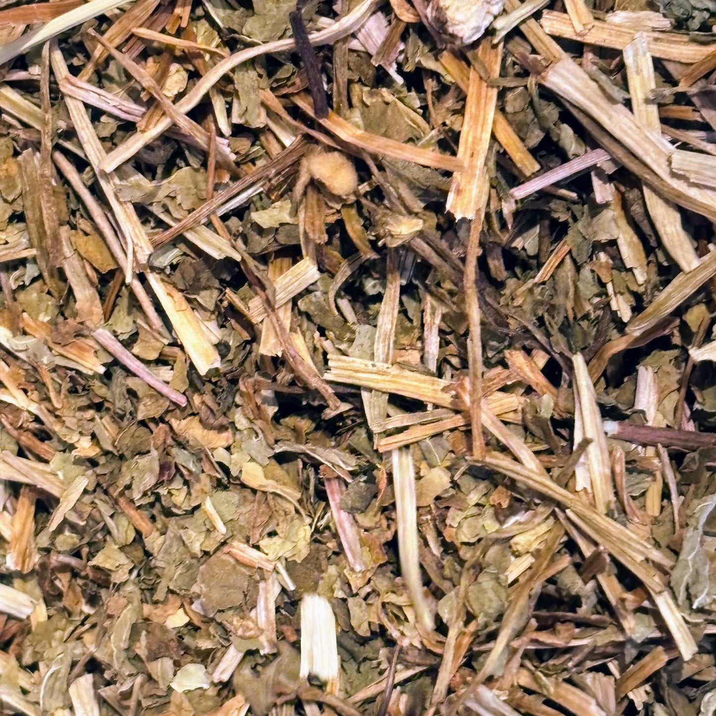 Gotu Kola (Centella asiatica) - Organic Dried Herb