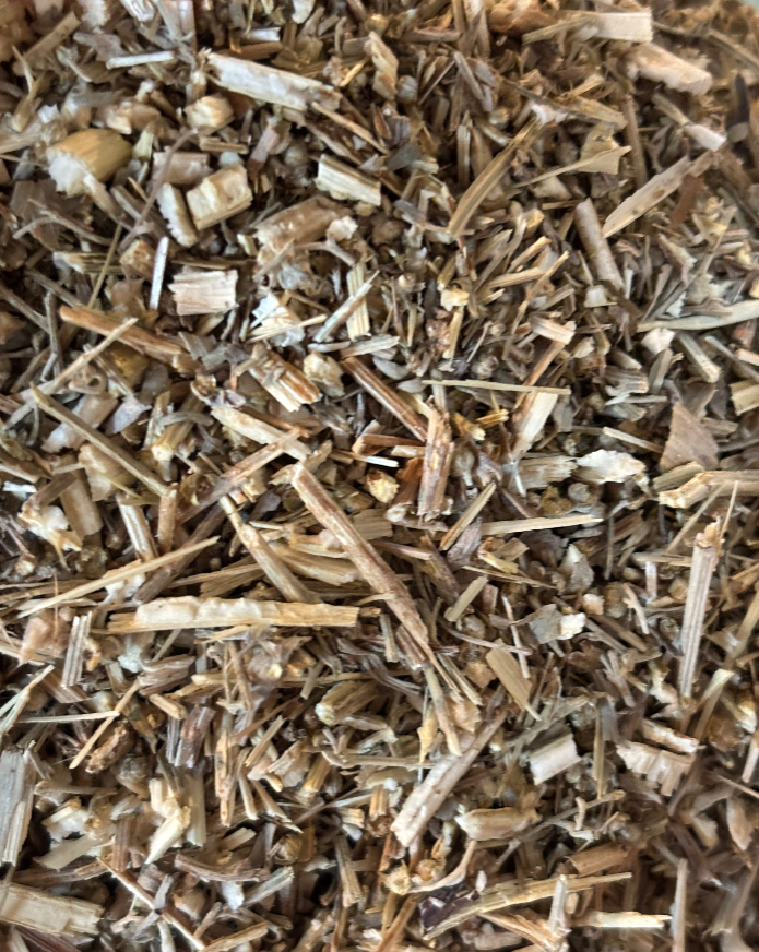 Wormwood (Artemisia absinthium) - Organic Dried Herb