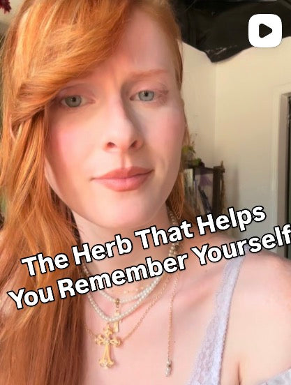 The Herb That Helps You Remember Yourself