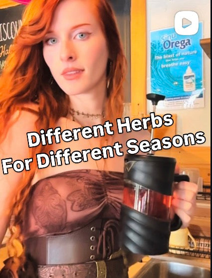 Different Herbs for Different Seasons