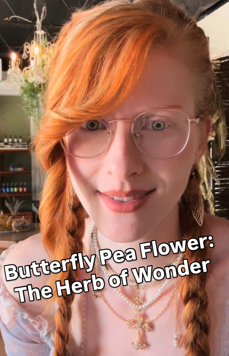 Butterfly Pea Flower: The Herb of Wonder