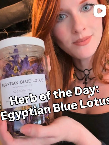 Herb of the Day: Egyptian Blue Lotus