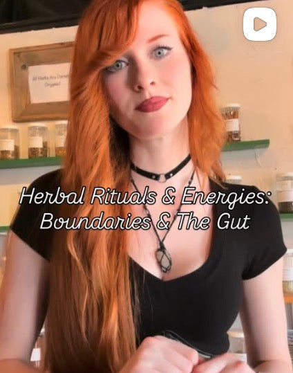 Boundaries & The Gut