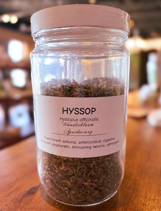 Hyssop (Hyssopus officinalis) - Organic Dried Herb