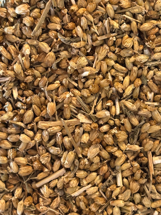 Yarrow (Achillea millefolium) - Organic Dried Herb