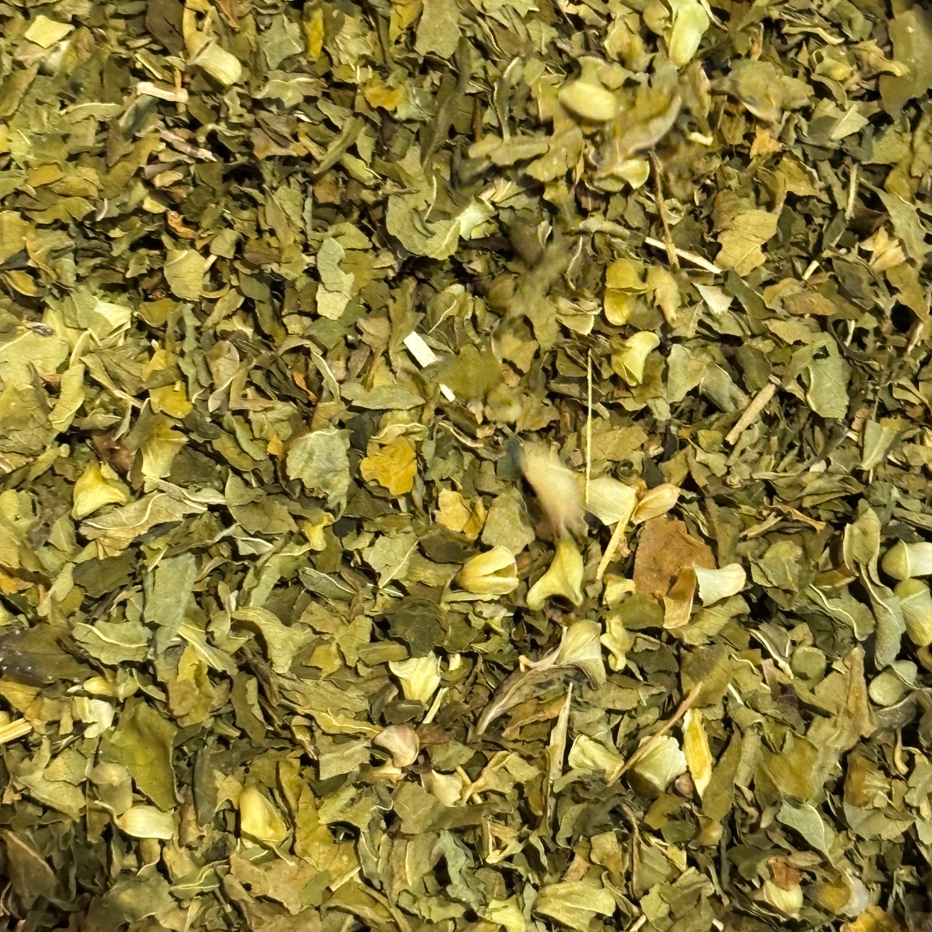 Skullcap (Scutellaria lateriflora) - Organic Dried Herb