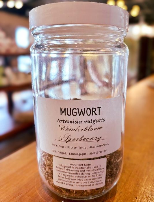 Mugwort (Artemisia vulgaris) – Organic Dried Herb