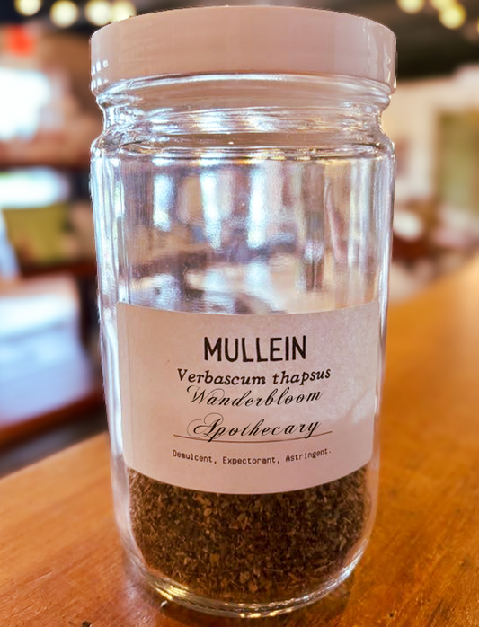 Mullein (Verbascum thapsus) - Organic Dried Herb
