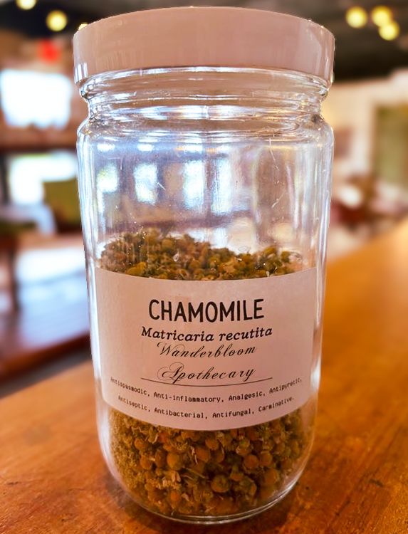 Chamomile (Matricaria recutita) - Organic Dried Herb
