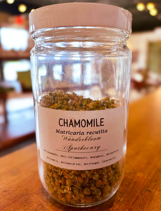 Chamomile (Matricaria recutita) - Organic Dried Herb