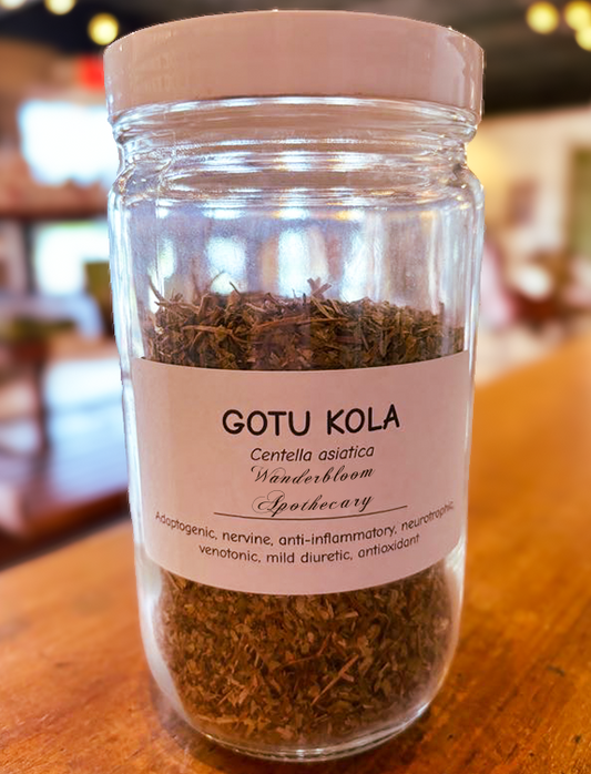 Gotu Kola (Centella asiatica) - Organic Dried Herb